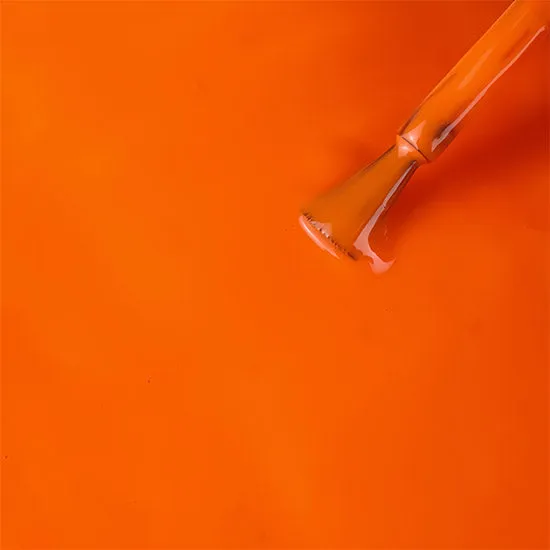 Live Colorfully