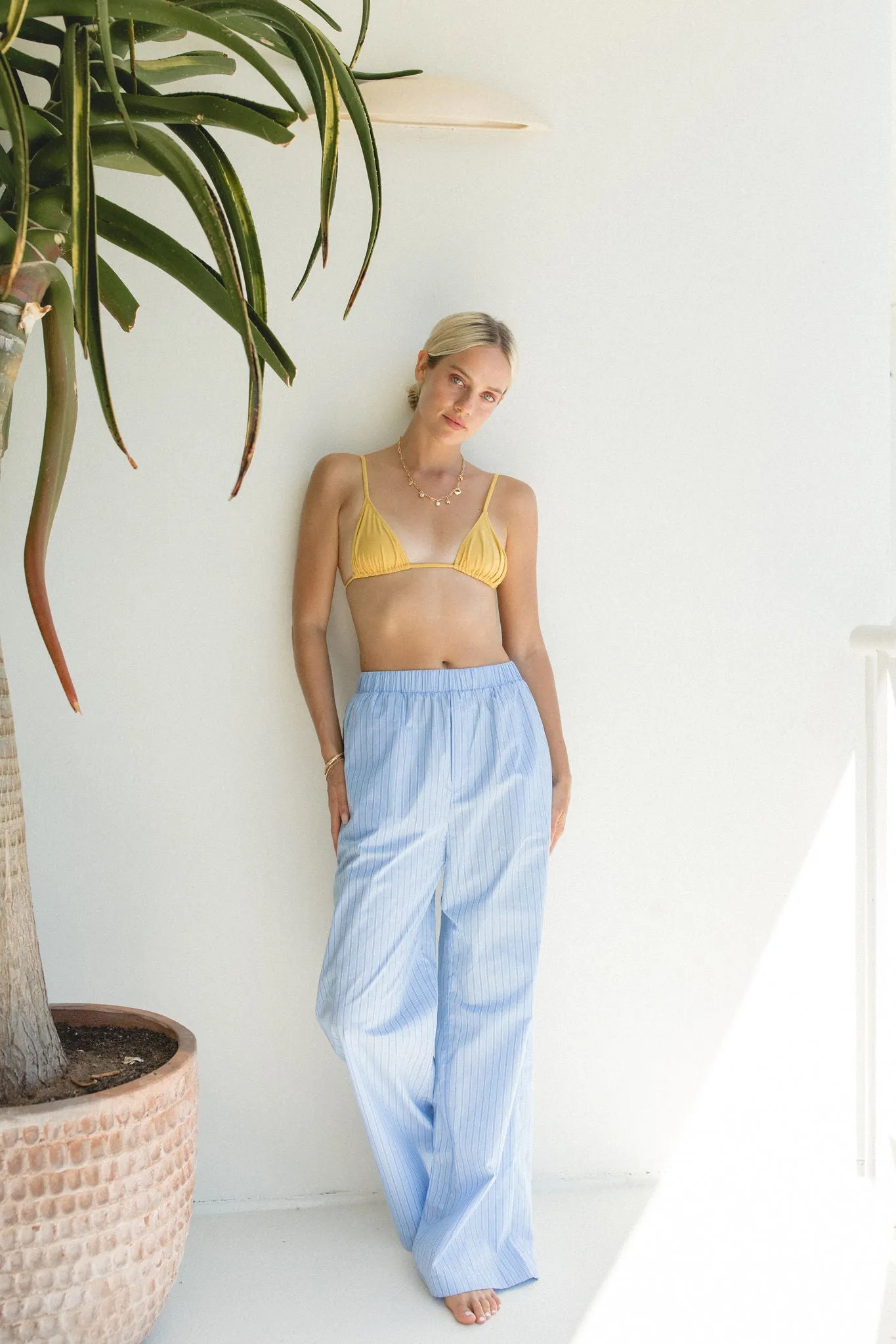 Trip Around the Sun Cotton Poplin Pants